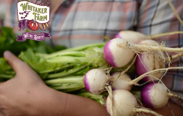 How to Eat Like Royalty This Winter—Farmer Mariette’s Game Plan for Smart Growing & Saving